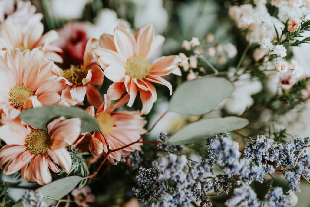 flowers-at-a-florist-2022-12-16-00-37-10-utc-1.jpg